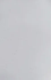 Carrara Nevato Chapa